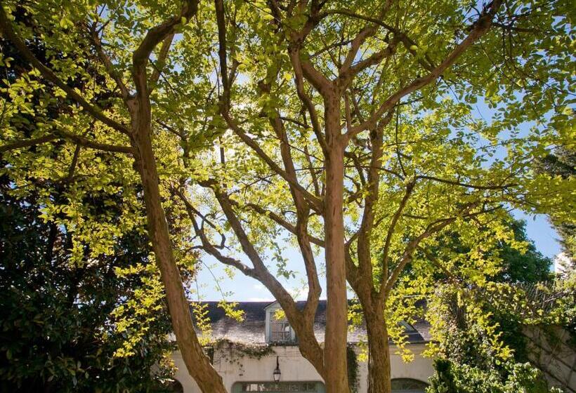 Bed and Breakfast La Maison Jules