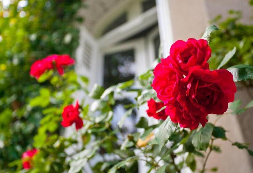 צימר La Maison Jules