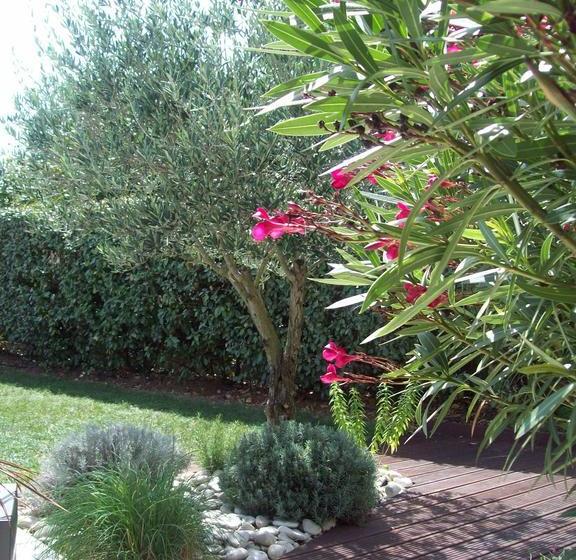 住宿加早餐 La Rivagerie