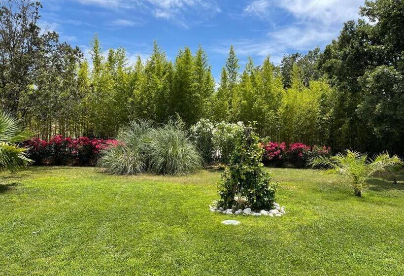 مبيت وإفطار La Tarentane