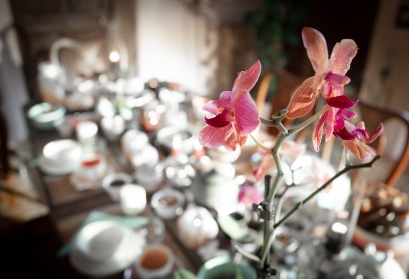 ベッドアンドブレックファースト La Vieille Maison   Chambre Et Halte Gourmande