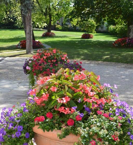 Bed and Breakfast La Villa Champagne Ployez Jacquemart