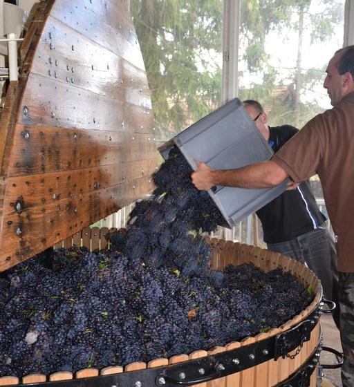 Bed and Breakfast La Villa Champagne Ployez Jacquemart