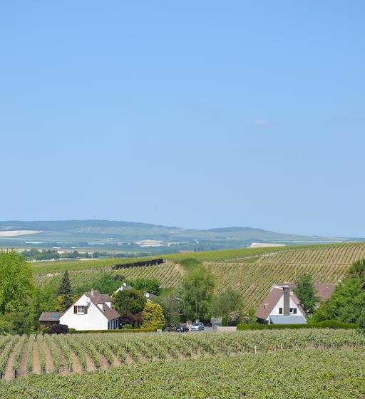 Bed and Breakfast La Villa Champagne Ployez Jacquemart