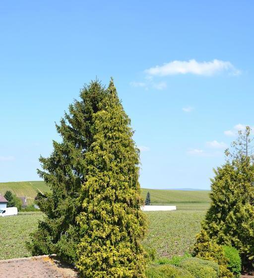 Bed and Breakfast La Villa Champagne Ployez Jacquemart