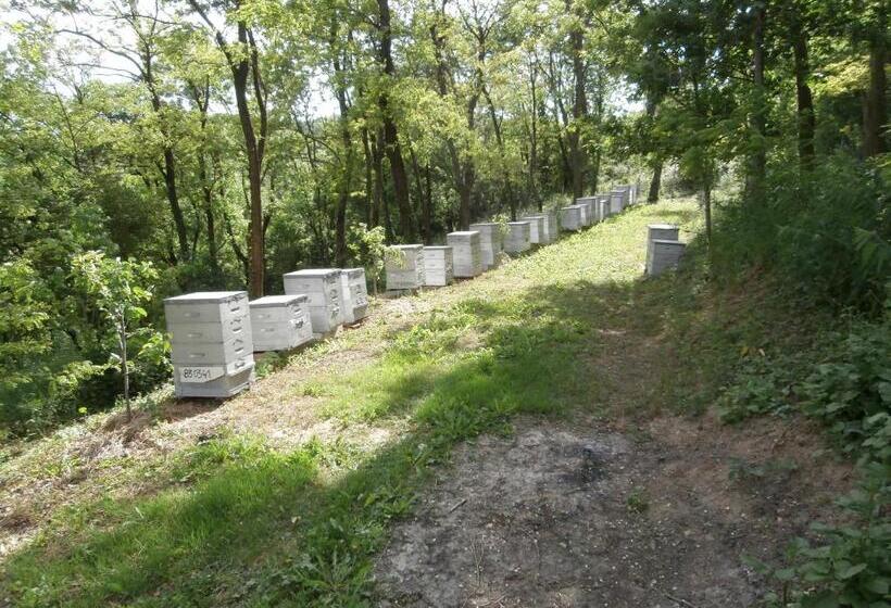 Bed and Breakfast La Villa Du Rhône