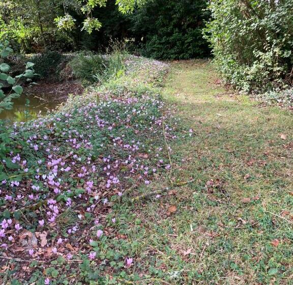 مبيت وإفطار Le Béguinage