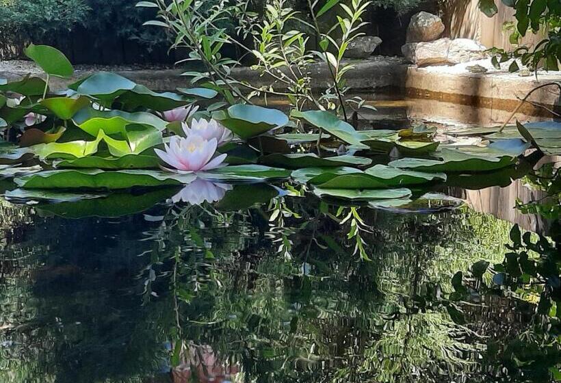 Bed and Breakfast Le Clos Du Bois Joli