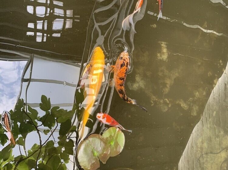 צימר Le Comptoir Industriel