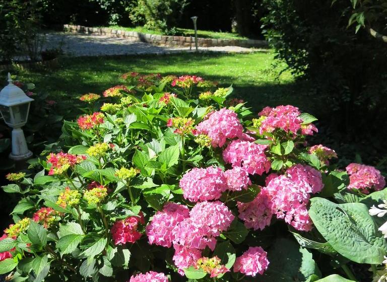 مبيت وإفطار Le Domaine De Pasiphae