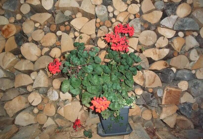 צימר Le Domaine Du Grand Cellier Chambres D'hôtes En Savoie