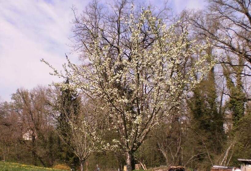 צימר Chambres D Hôtes Les Chambres De Mado