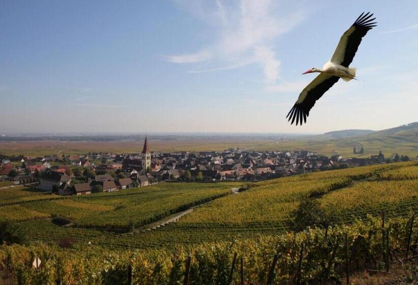 צימר Les Chambres Du Vignoble