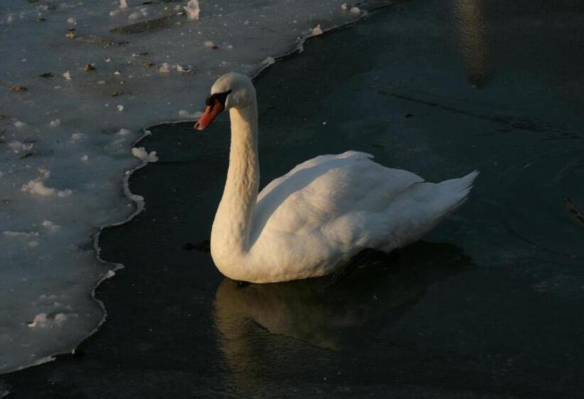 مبيت وإفطار Les Douves