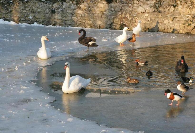 مبيت وإفطار Les Douves