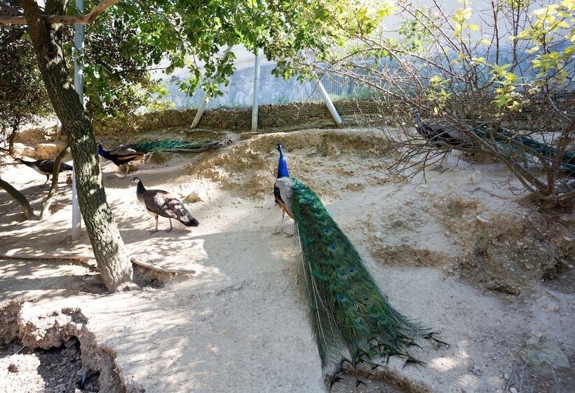 住宿加早餐  Les Gargoulettes