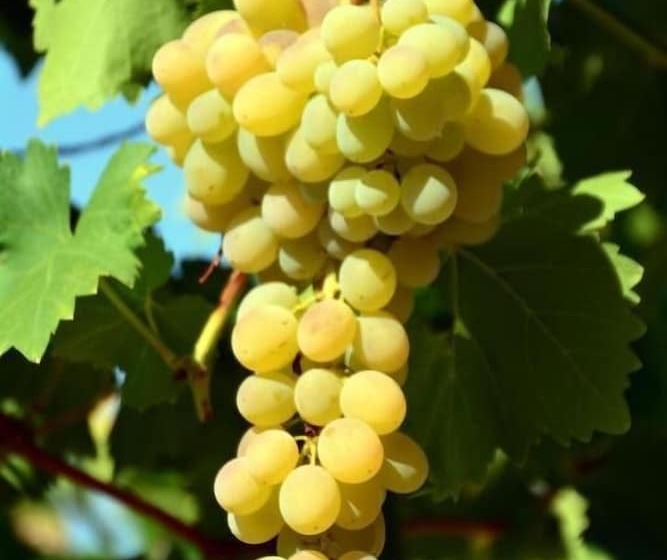 Bed and Breakfast Les Jardins De L'ermitage