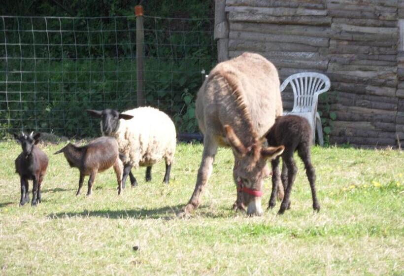 住宿加早餐  Les Pieds Dans L Herbe