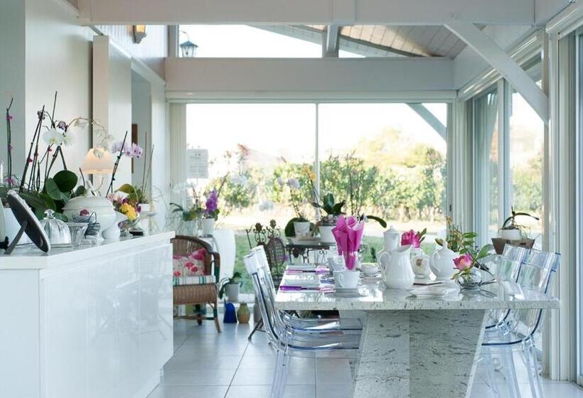 민박 Les Raisins Du Bonheur