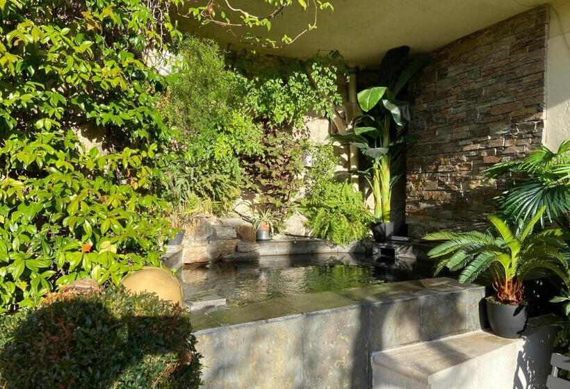 مبيت وإفطار Les Terrasses De Castelnau