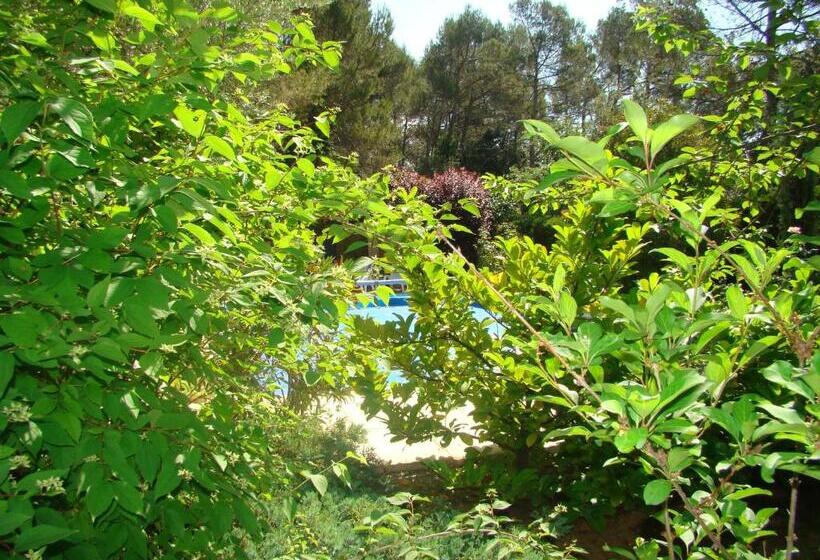 住宿加早餐 L'orée Du Bois