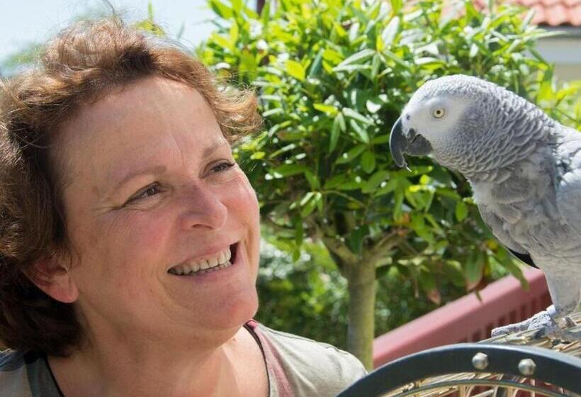 مبيت وإفطار Maison Bista Eder