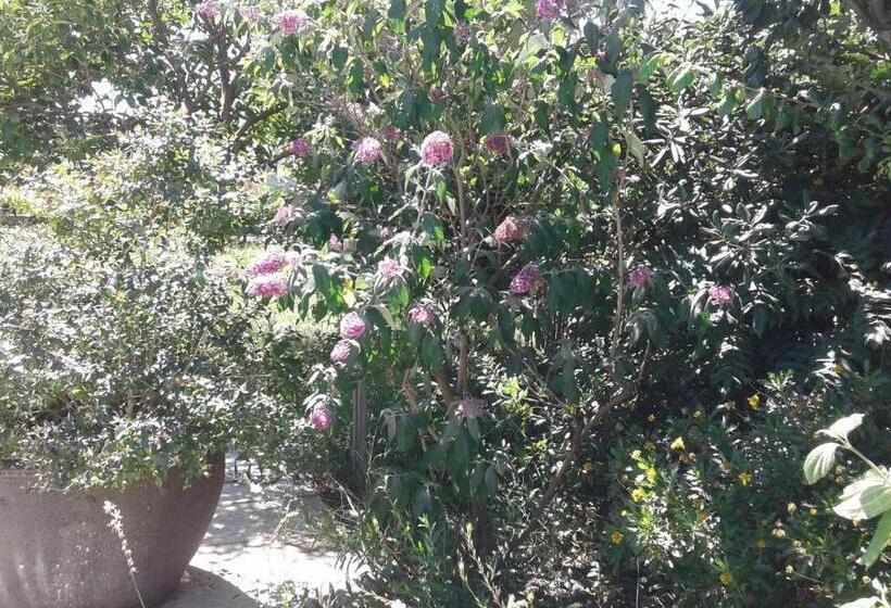 צימר Michèle Et Didier Lin