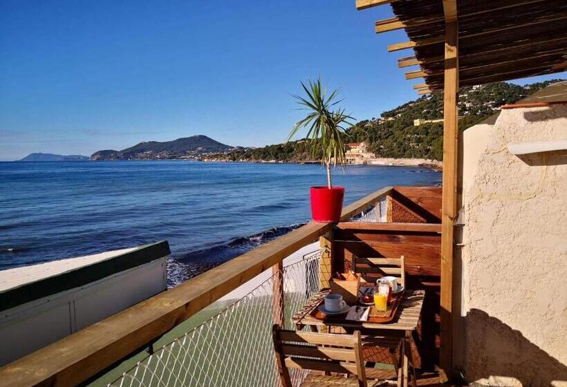 Aamiaismajoitus (B&B) Stella Maris