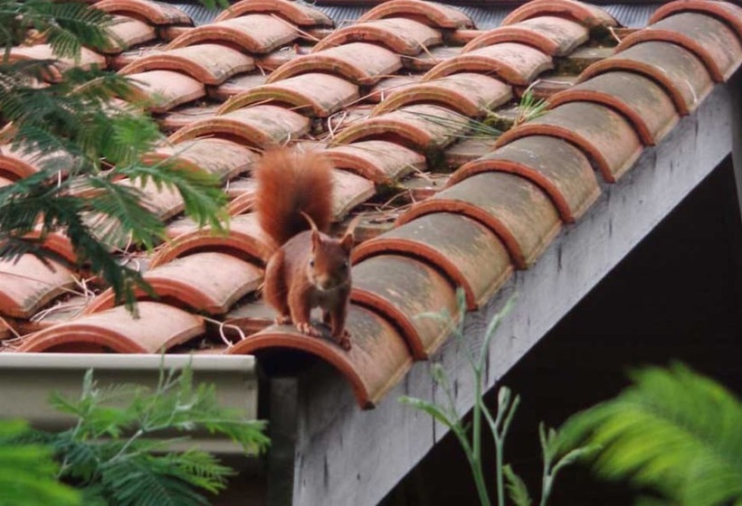 تختخواب و صبحانه Villa Herbert, Chambres D Hôtes Et Gîte