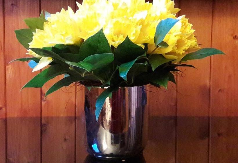 בית מלון כפרי Alp Hôtel