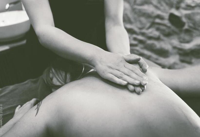 호텔 Domaine De La Pommeraye & Spa