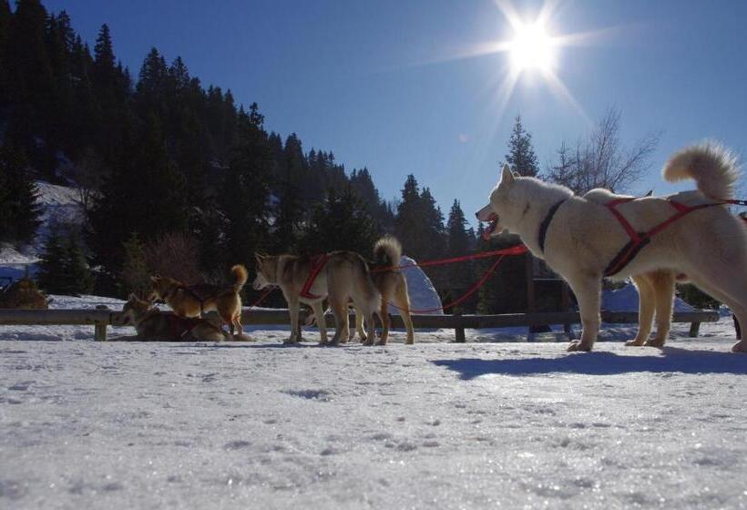 호텔 Auberge Du Virage