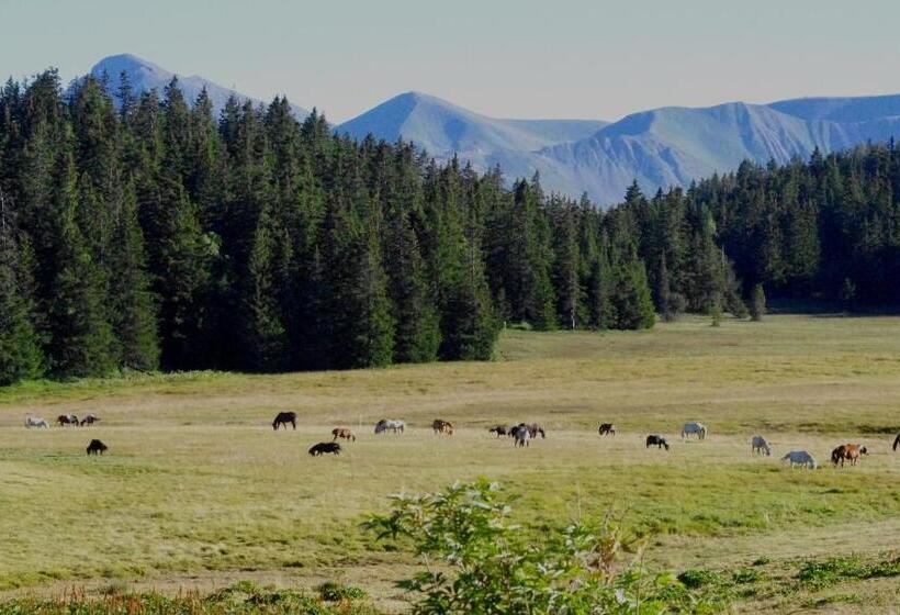 Отель Auberge Du Virage
