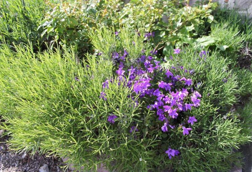 فندق Auberge L'air De Vent