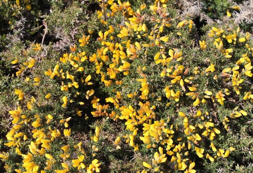 فندق Auberge L'air De Vent