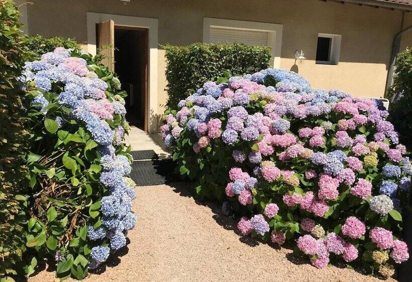 ホテル Auberge Les Hauts De Chenas