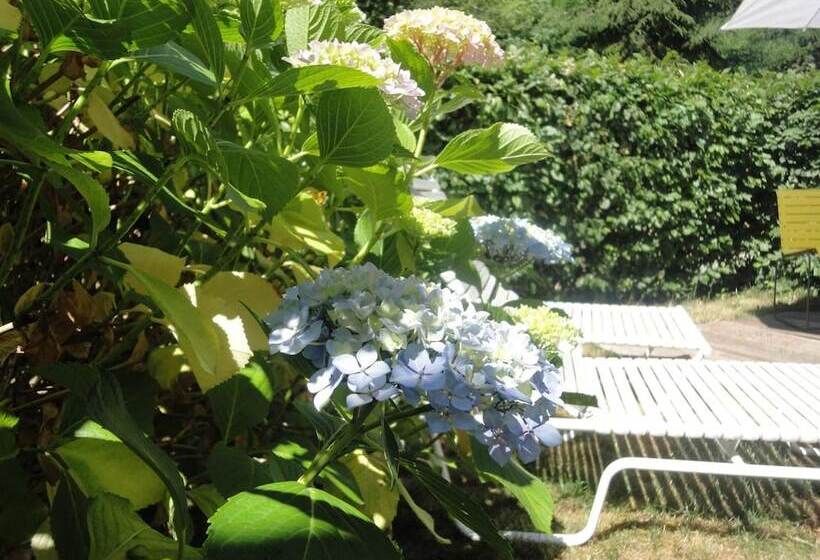 ホテル Auberge Les Hauts De Chenas