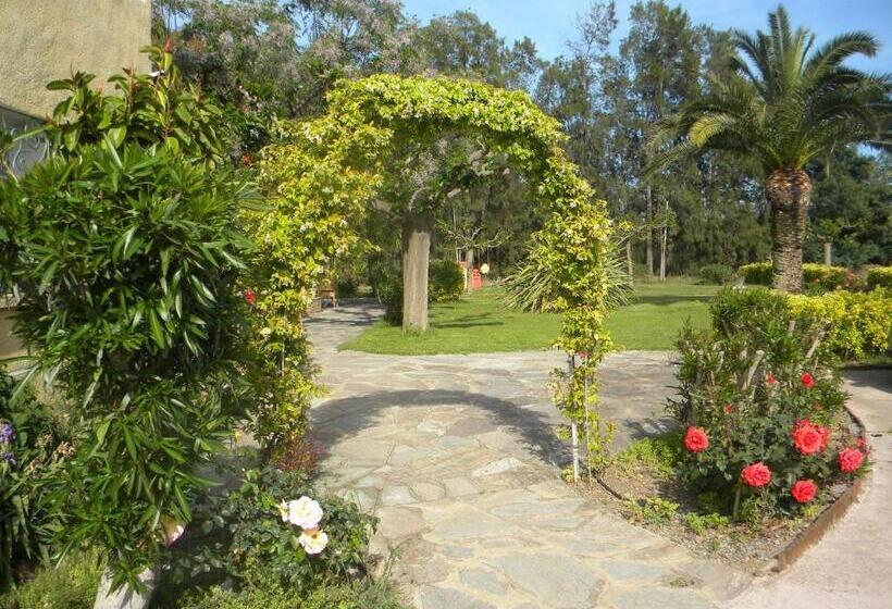 호텔 Auberge Les Oliviers