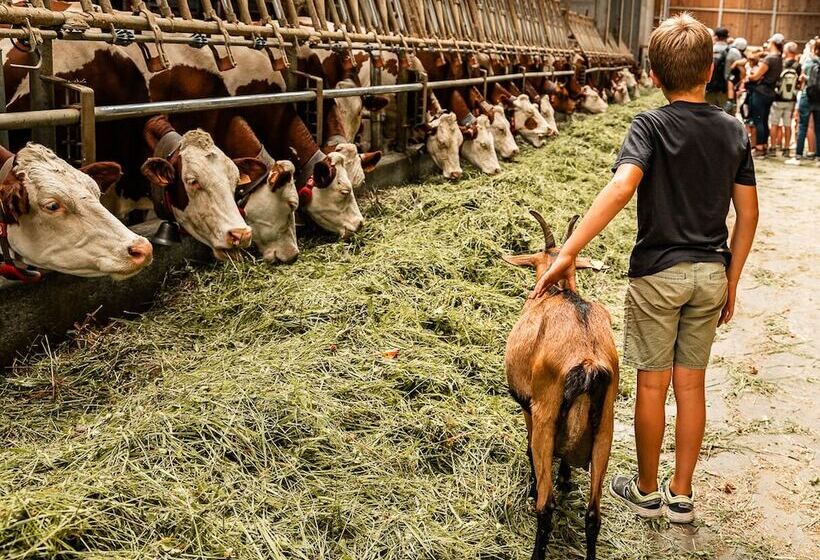ホテル Chalet Alpen Valley, Montblanc