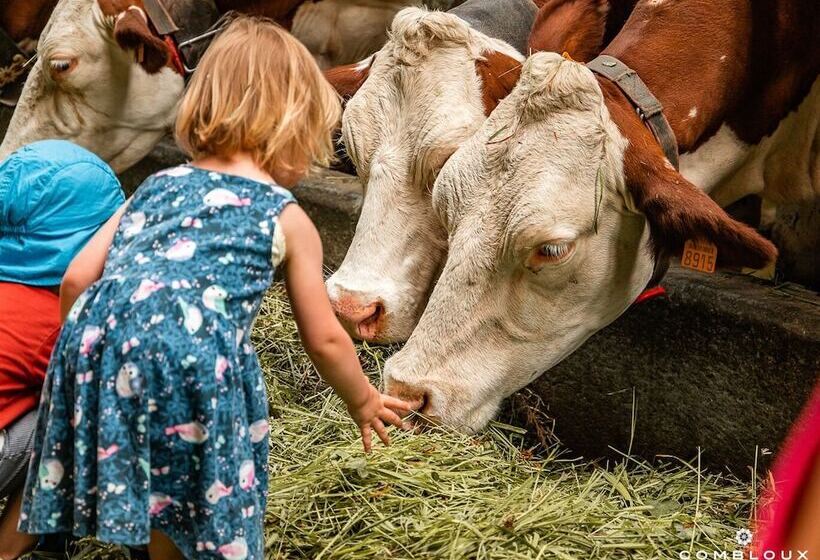 ホテル Chalet Alpen Valley, Montblanc