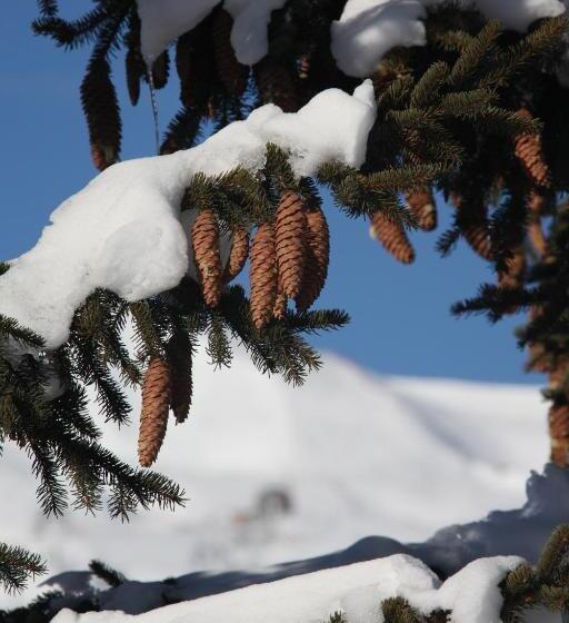 酒店 Chalet Hôtel Le Beausoleil, The Originals Relais