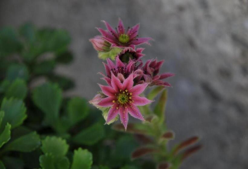 فندق La Ferme Du Chozal, Chalet De Tradition