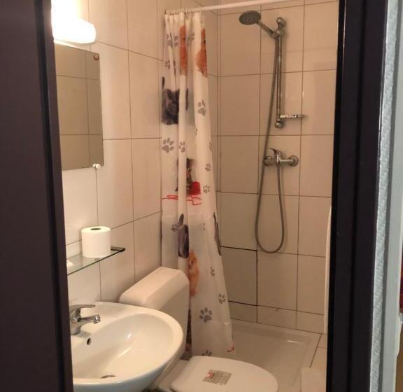 Отель Chevallier