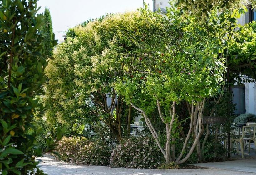 فندق Du Soleil Et Spa