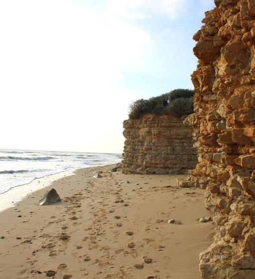 فندق Fleur De Ré