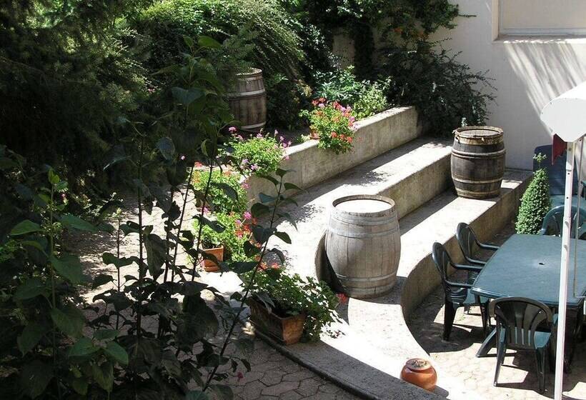 酒店 Centre Le Mittel