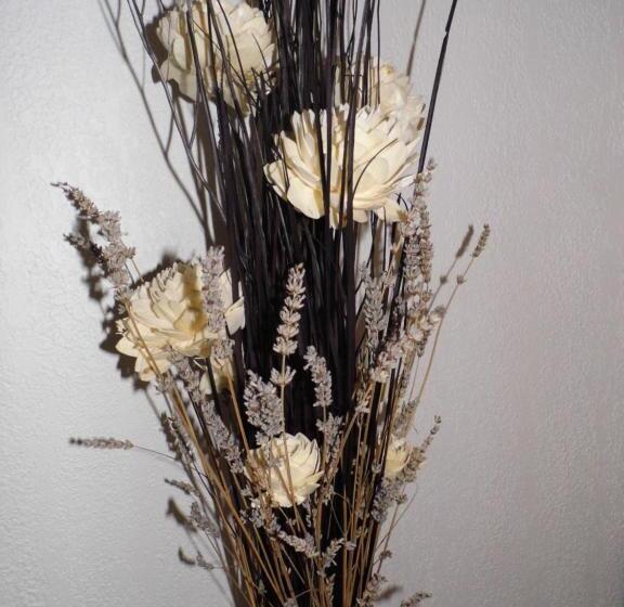 فندق Hôtel Des Touristes