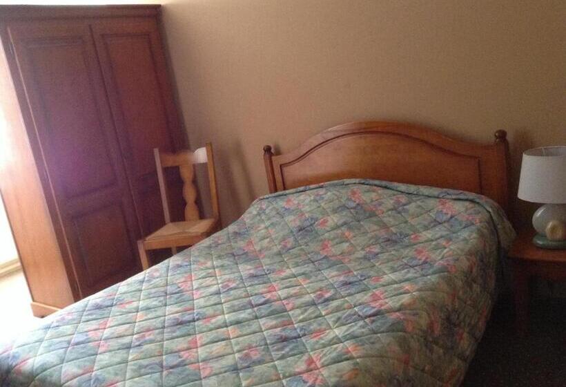 호텔 Hôtel Du Cygne