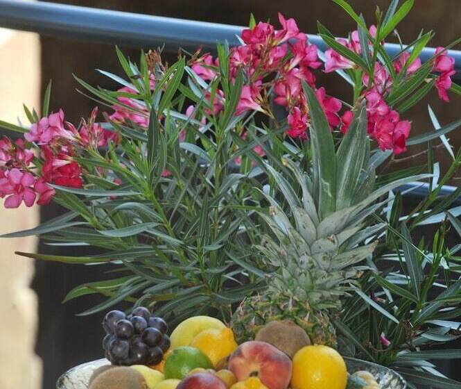 酒店 Hôtel Gambetta