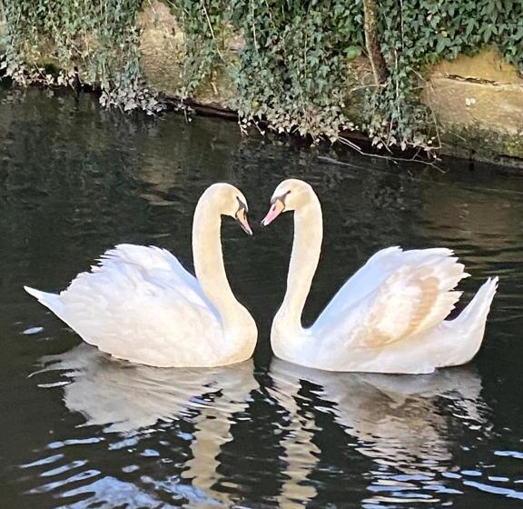 Отель Hôtel Le Moulin